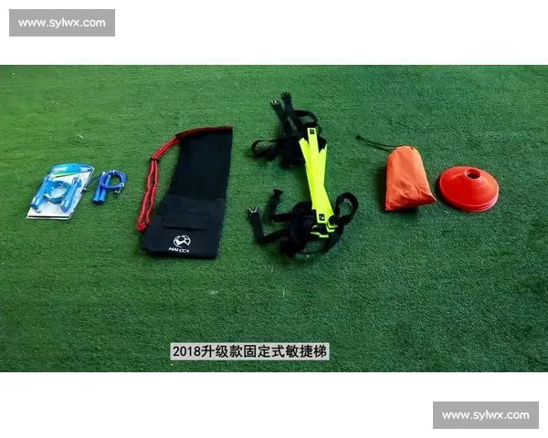 以科学方法提升运动表现的体育训练目标与效果研究